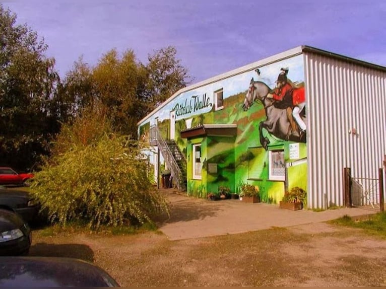 Ponybox mit Außenfenster