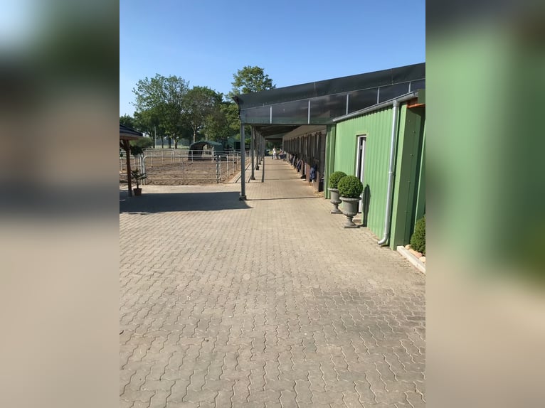 Vermieten eine Außenbox 