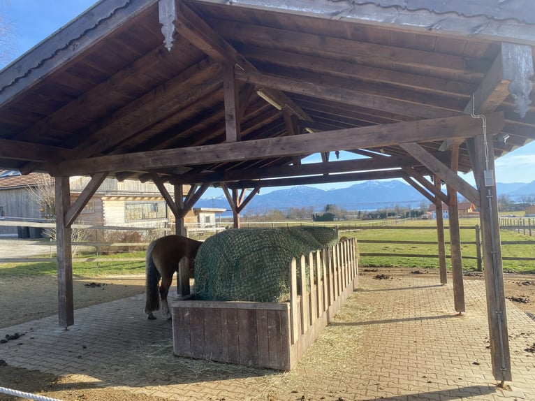 Box à ciel ouvert avec parcours de trail