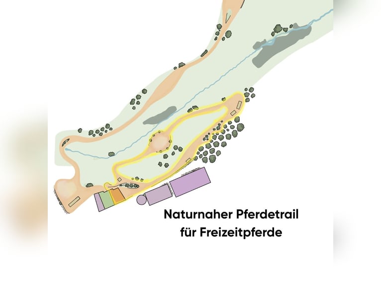 ☀️ Gesunde Pferdehaltung im naturnahen Paddocktrail – Wohlfühlstall für Freizeitpferde