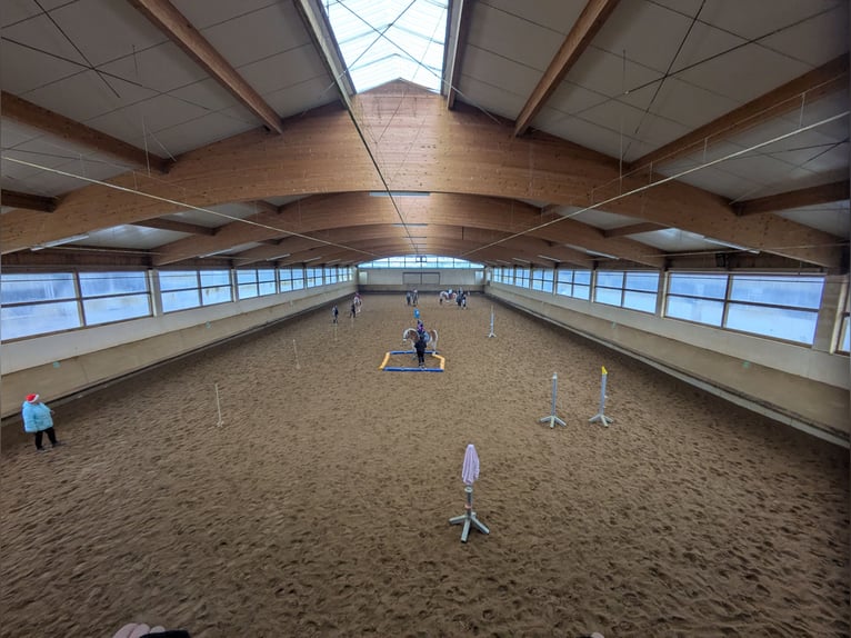 Nouvelle construction d’un box moderne prévue pour mai 2026, ainsi que l’établissement existant avec