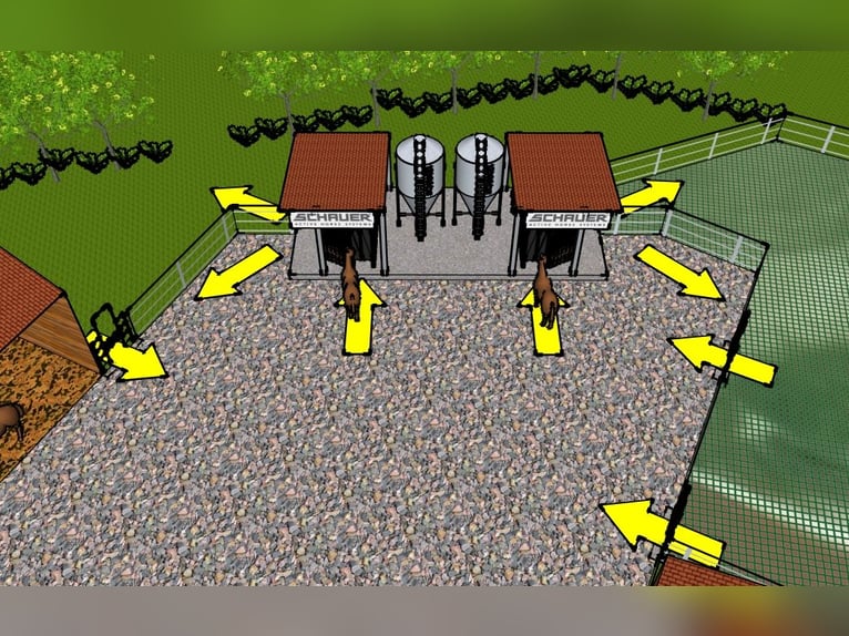 Nouvelle construction d’un box moderne prévue pour mai 2026, ainsi que l’établissement existant avec