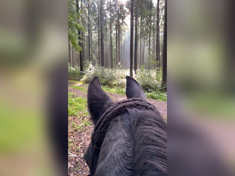 2 places en paddock libre