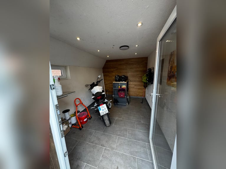 2 places en paddock pour hongres disponibles immédiatement