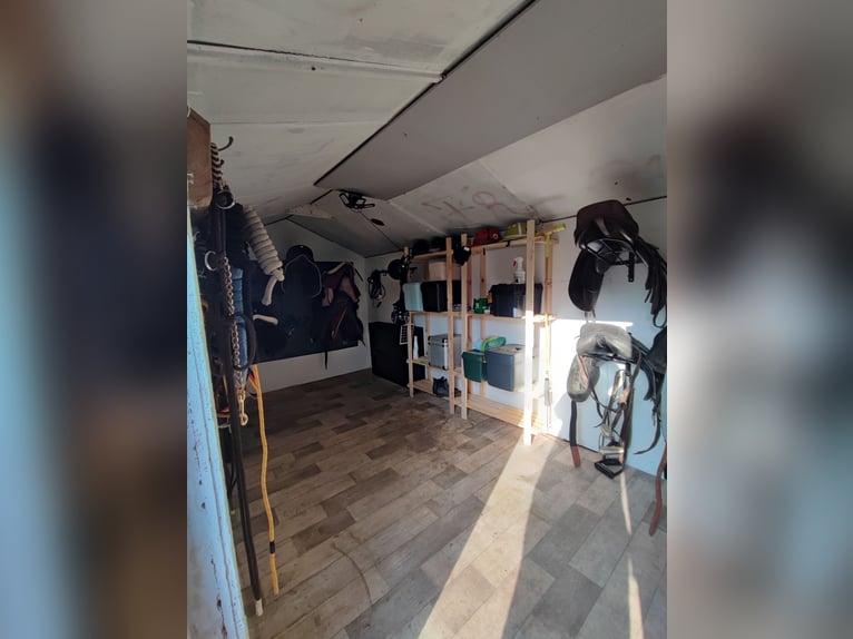 Box à ciel ouvert avec un petit ruisseau