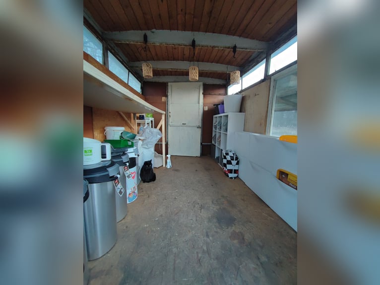 Box à ciel ouvert avec un petit ruisseau