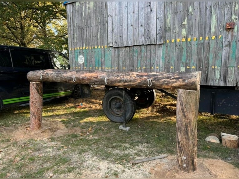 Box à ciel ouvert avec un petit ruisseau