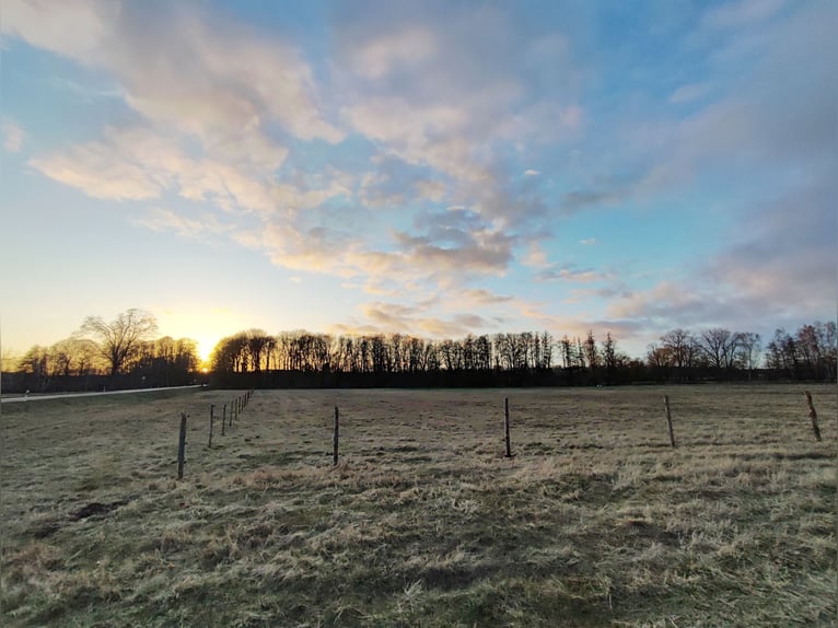 Box à ciel ouvert avec un petit ruisseau