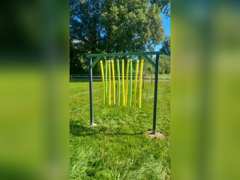 Box à l'écurie avec sentier de promenade à 25336 Klein Nordende