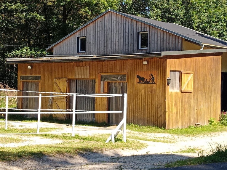 Box en paddock en stabulation libre avec participation aux soins et à la monte