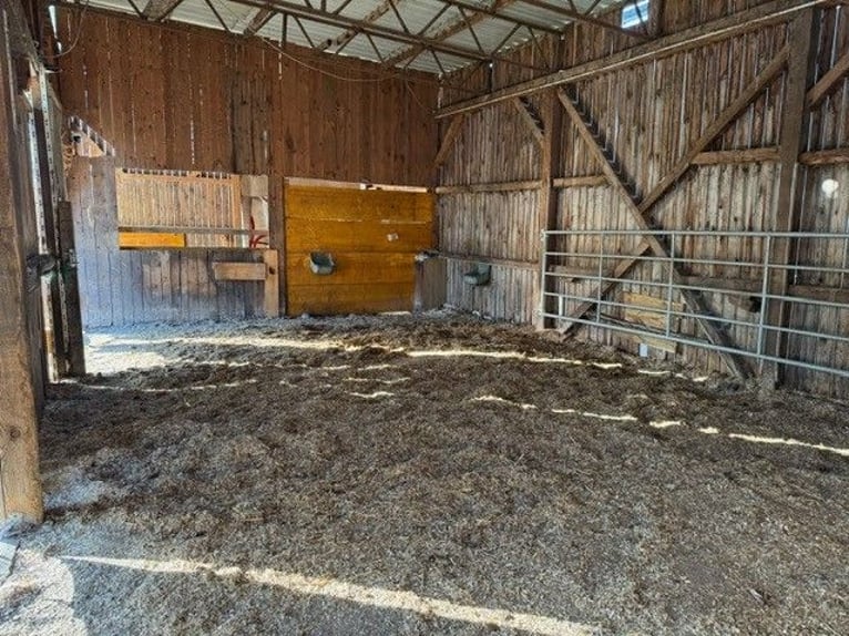 Boxe en paddock pour chevaux ou poneys – proche de la nature et facile d'entretien