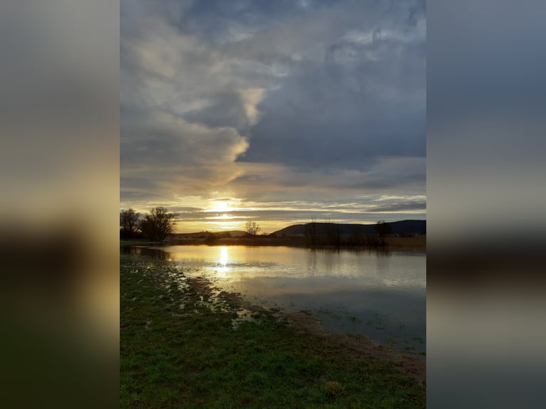 Boxs à louer dans un environnement calme