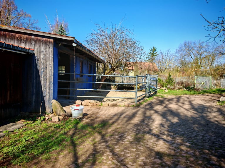 Écurie de pension idyllique / box ou paddock libre disponible