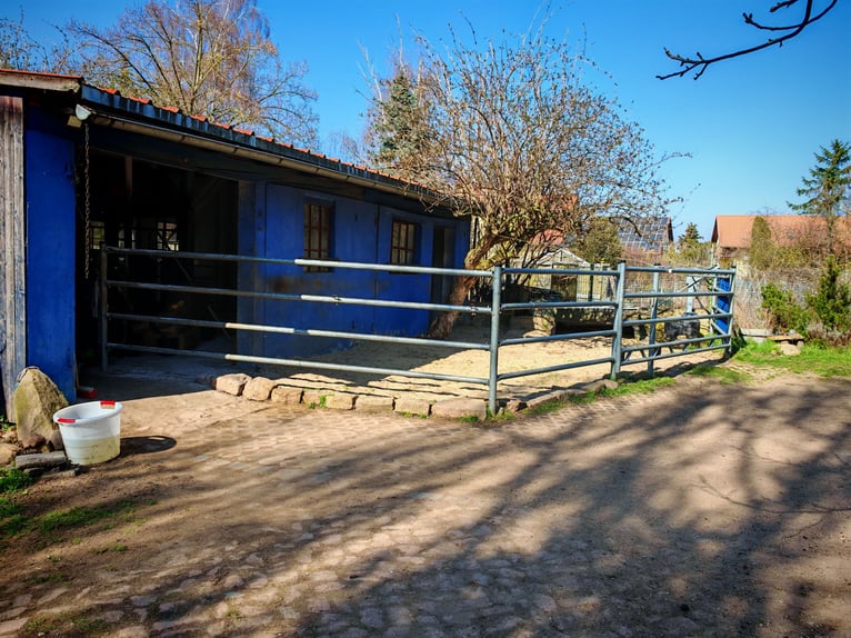 Écurie de pension idyllique / box ou paddock libre disponible