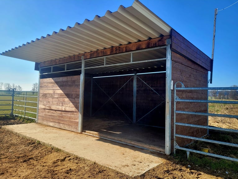 Écuries en plein air et boxes paddock disponibles.