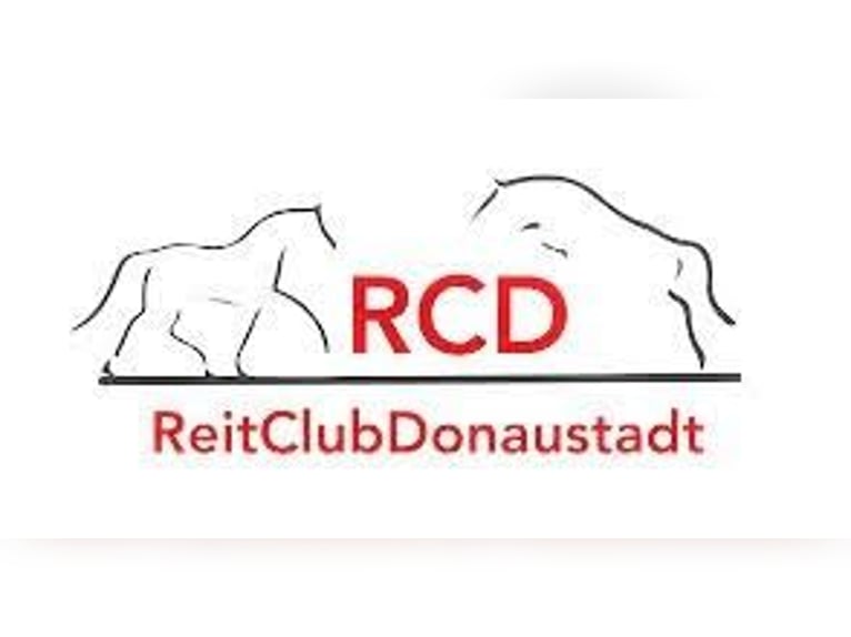 Einstellplatz in Wien- Paddockbox mit XXL Paddock