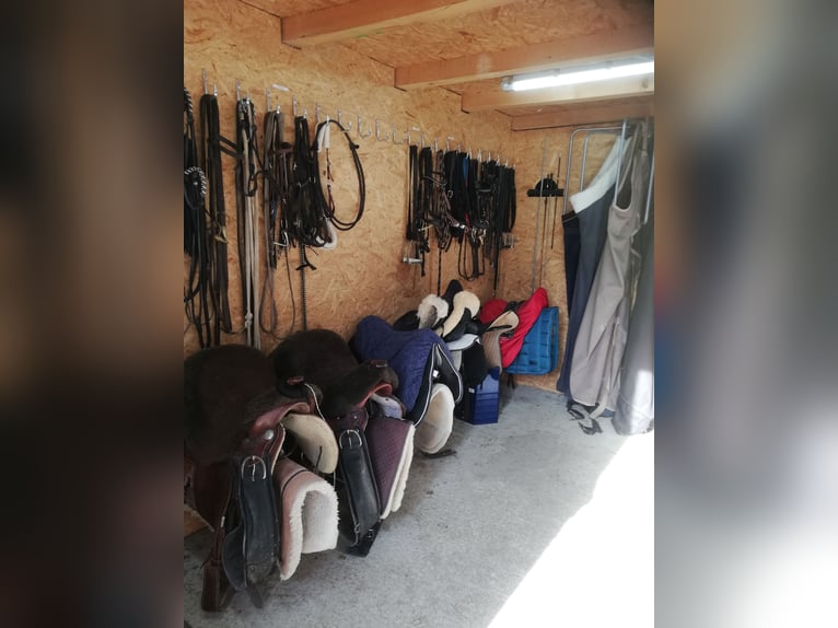 Espace de stationnement pour cavaliers de loisirs