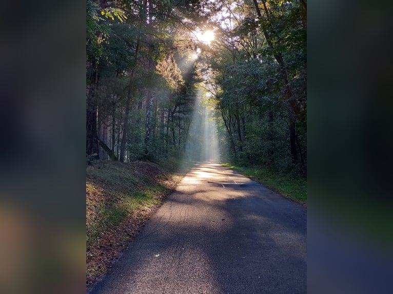  Exklusive Offenstallplätze in naturnaher Robusthaltung – 15754 Heidesee 