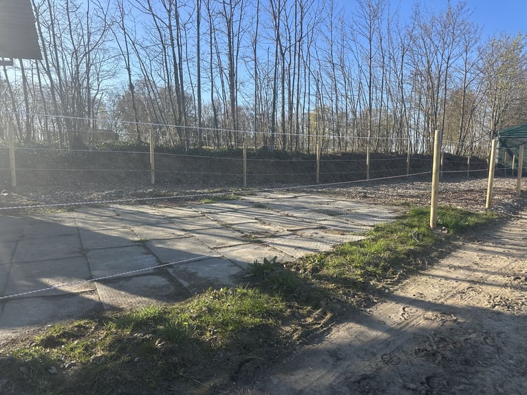 Location de boxes et de paddocks en pension à louer