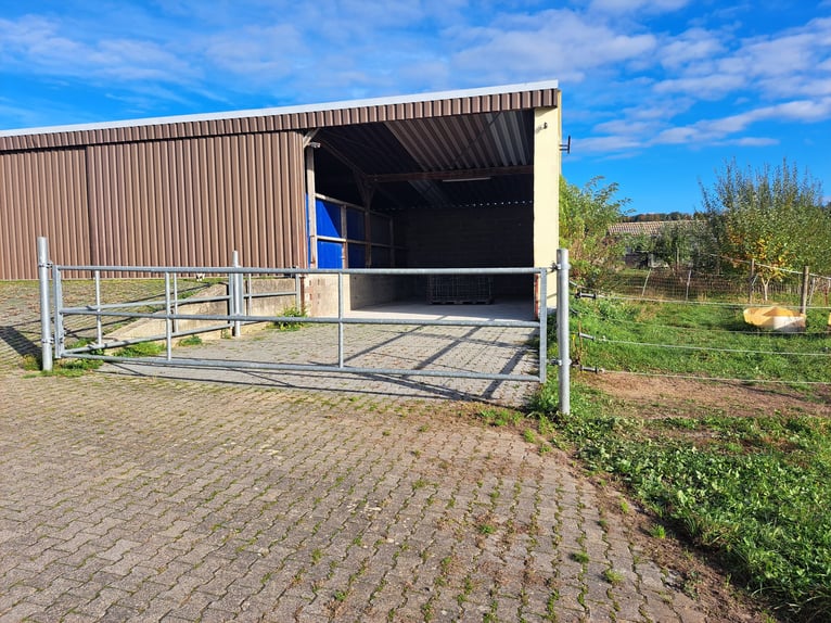 Offenstall