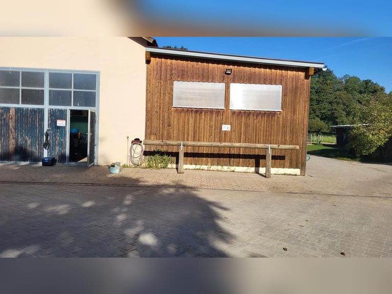 Offenstallplatz in 91187