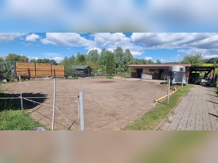 Offenstallplatz Pferdebox