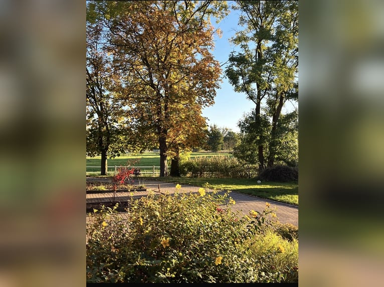 Place de pensionnaire retraité disponible dans un pensionnat privé ❤️