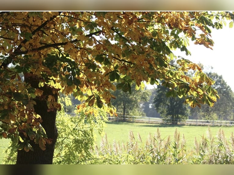 Place de pensionnaire retraité disponible dans un pensionnat privé ❤️