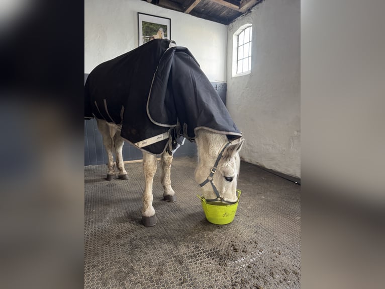 Place de rééducation situé directement en bord de mer du Nord