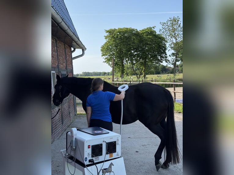 Place de rééducation situé directement en bord de mer du Nord