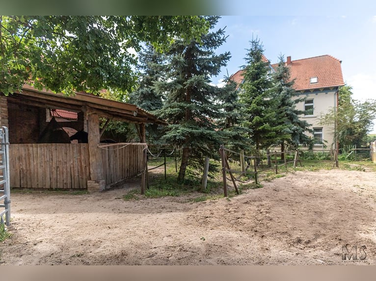 Place disponible dans un mini-paddock trail dans le sud-est de la Basse-Saxe