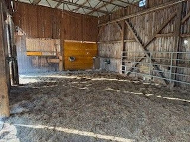 Place en boxe ouverte pour grand cheval ou poney – proche de la nature et simple d'utilisation