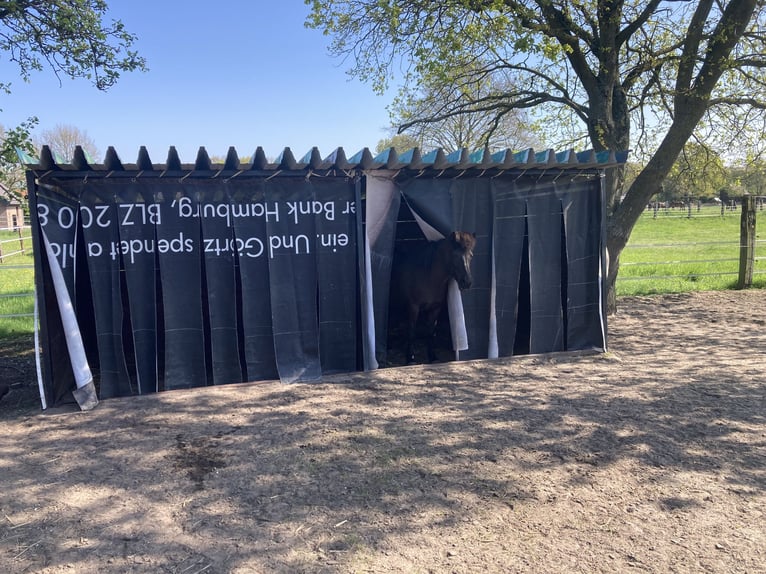 Place en paddock libre dans le paradis équestre à 46282