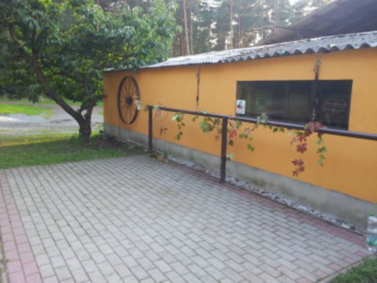 Place en pension en box paddock ou en box extérieur disponible