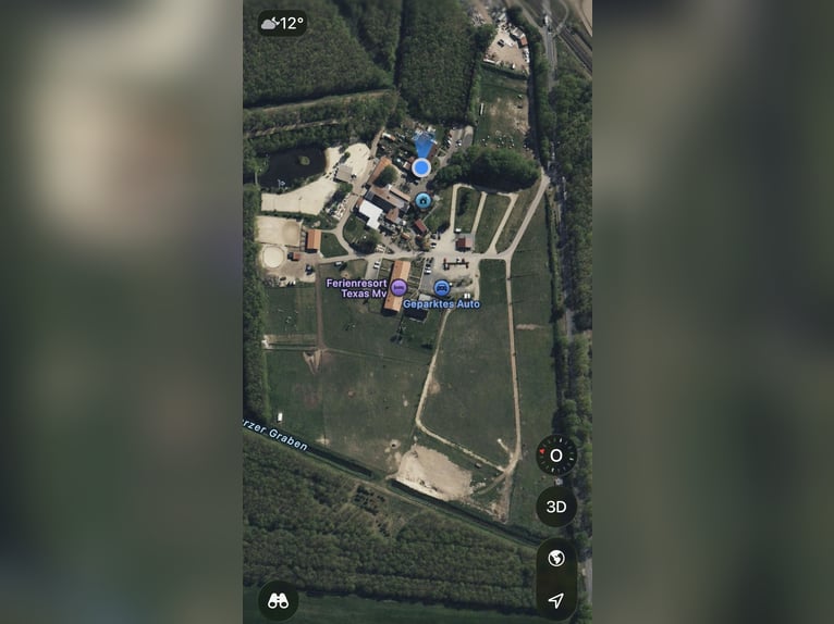 🌿 Places disponibles en paddock – Paradis pour chevaux dans un environnement de rêve 🌿