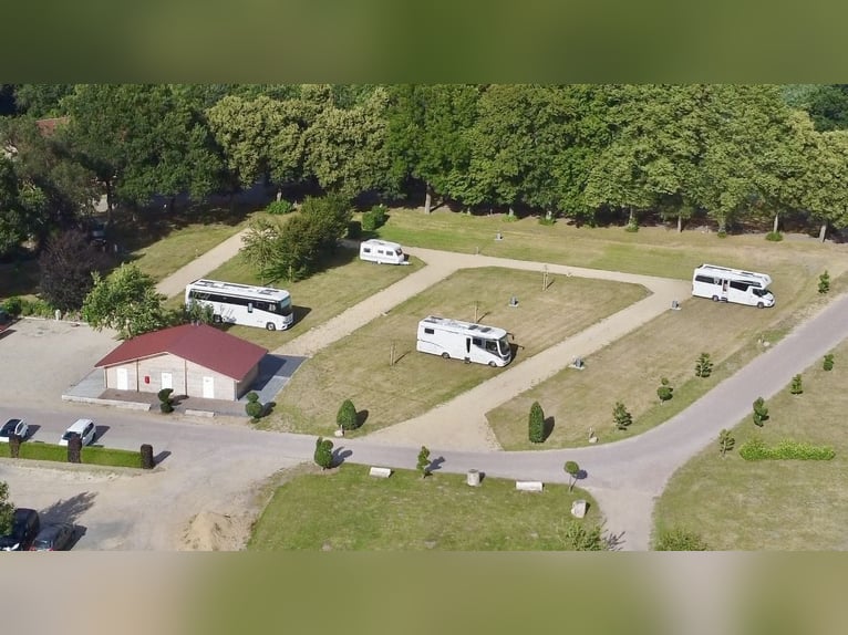 🌿 Places disponibles en paddock – Paradis pour chevaux dans un environnement de rêve 🌿