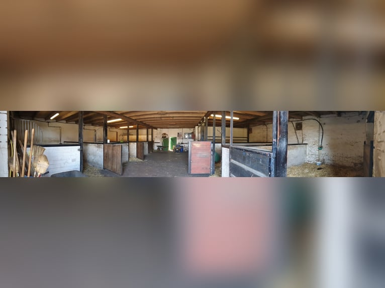 Privater Selbstversorger-Offenstall - Platz für 2 Wallach frei