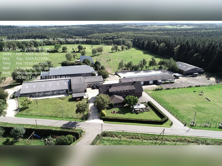 Rentnerplätze für Pferde