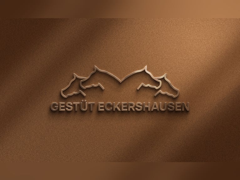 Aufzuchtsplätze & Plätze für Zuchtstuten 