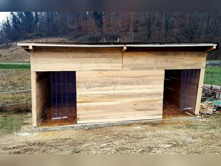 Bieten Aufzuchtplätze für Hengste-Absetzer auf unserer Anlage in Kroatien (ca. 90min von Graz)