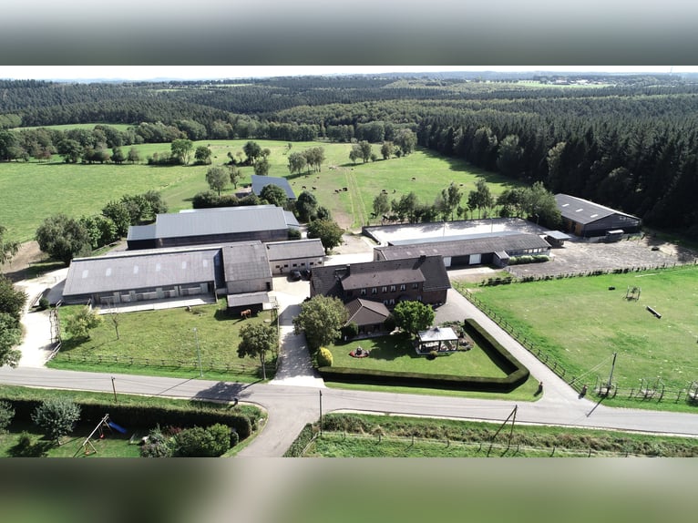 Stalles d'élevage disponibles en 2025