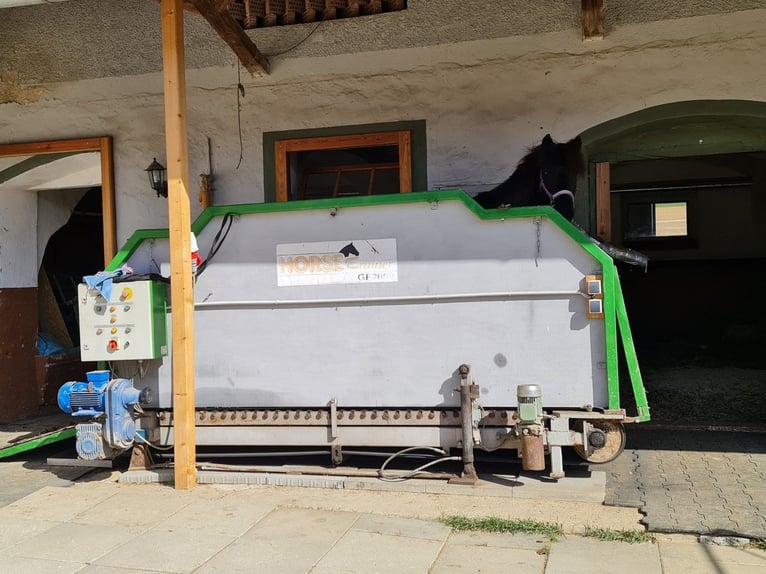 Atme tief durch! Unser Lungenerholungs- & Aufbaumonat