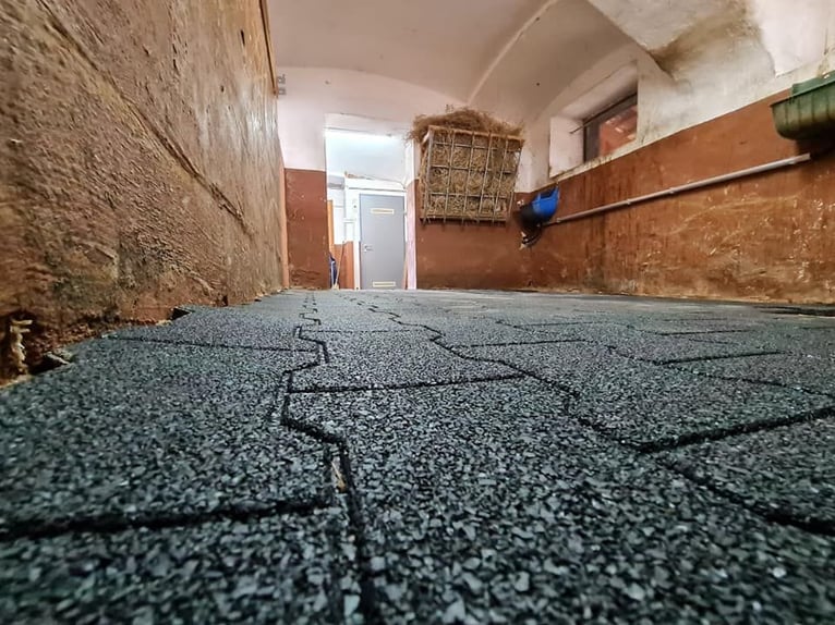 Atme tief durch! Unser Lungenerholungs- & Aufbaumonat