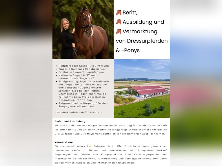 Ausbildung, Beritt und Vermarktung von Dressurpferden & Ponys 