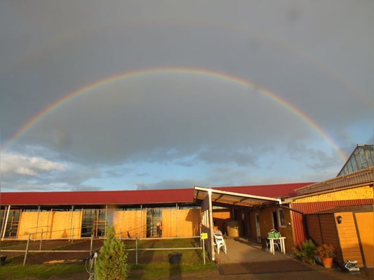 Box paddock / paddock box