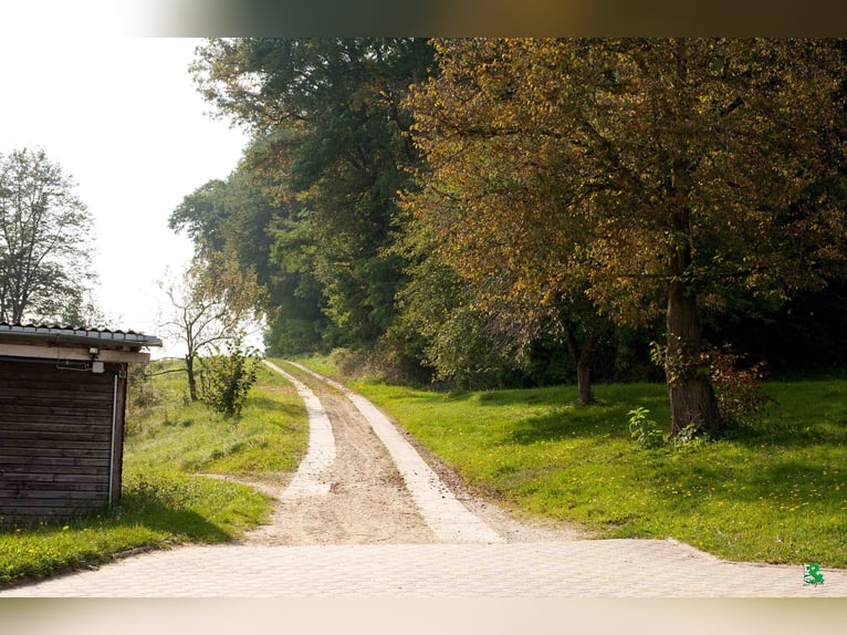 Boxen frei auf TOP Reitanlage mit 2 Reithallen / Pferde ReHa / AQUA-Trainer