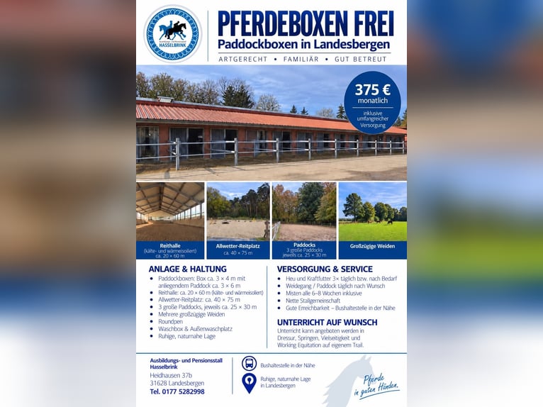 Boxes de paddock disponibles