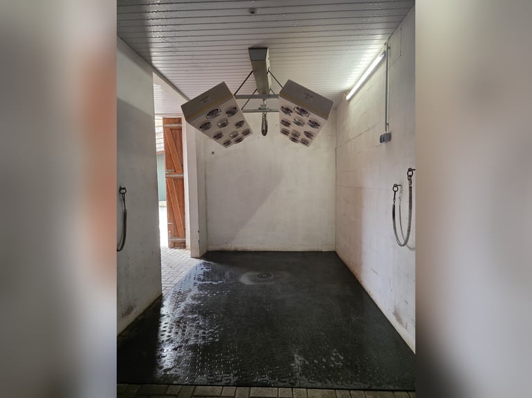 Boxes ou couloirs pour chevaux