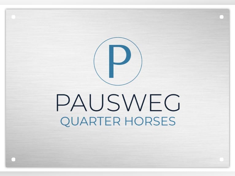 Boxes pour chevaux disponibles avec paddock et pâturage – à 3812 Weinern 🐴