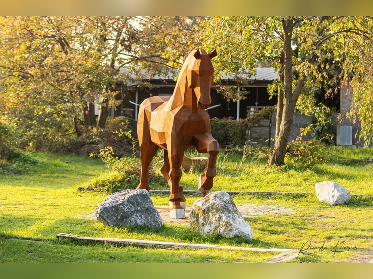 Einstellplätze in Wien- Paddockbox inkl. angeschlossener Privatkoppel und Freilauf Einstellplätze in Wien- Paddockbox inkl. angeschlossener Privatkoppel und Freilauf